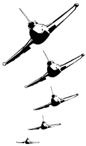 Confirmación formulario recibido voy_volando